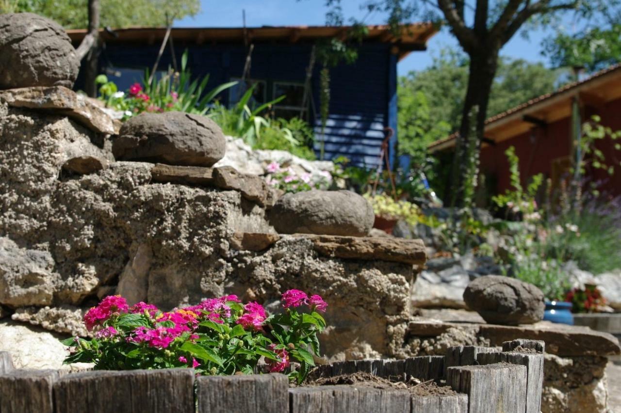 Clermont-lʼHérault Mas De Font Chaude B&B 외부 사진