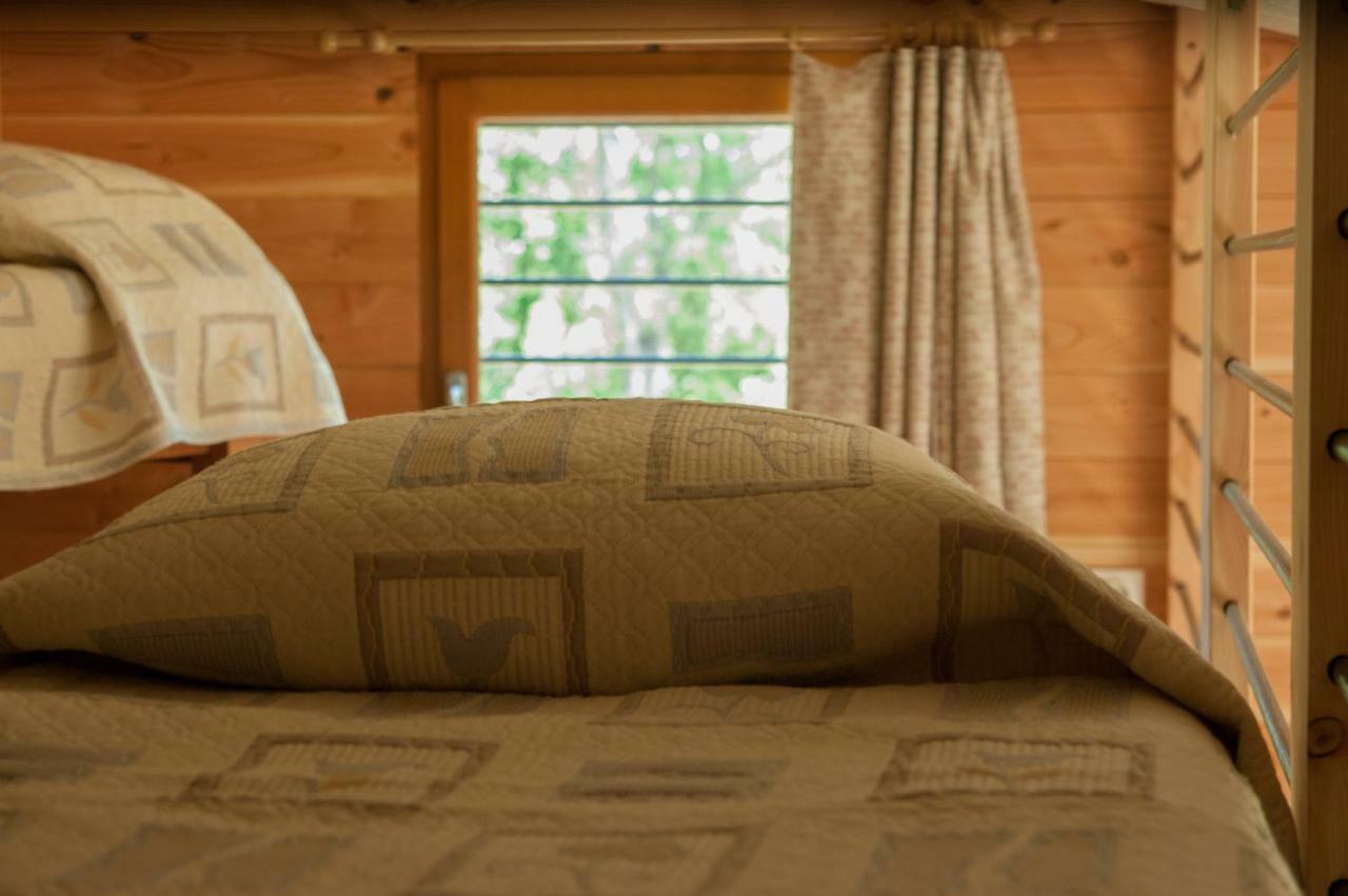 Clermont-lʼHérault Mas De Font Chaude B&B 외부 사진